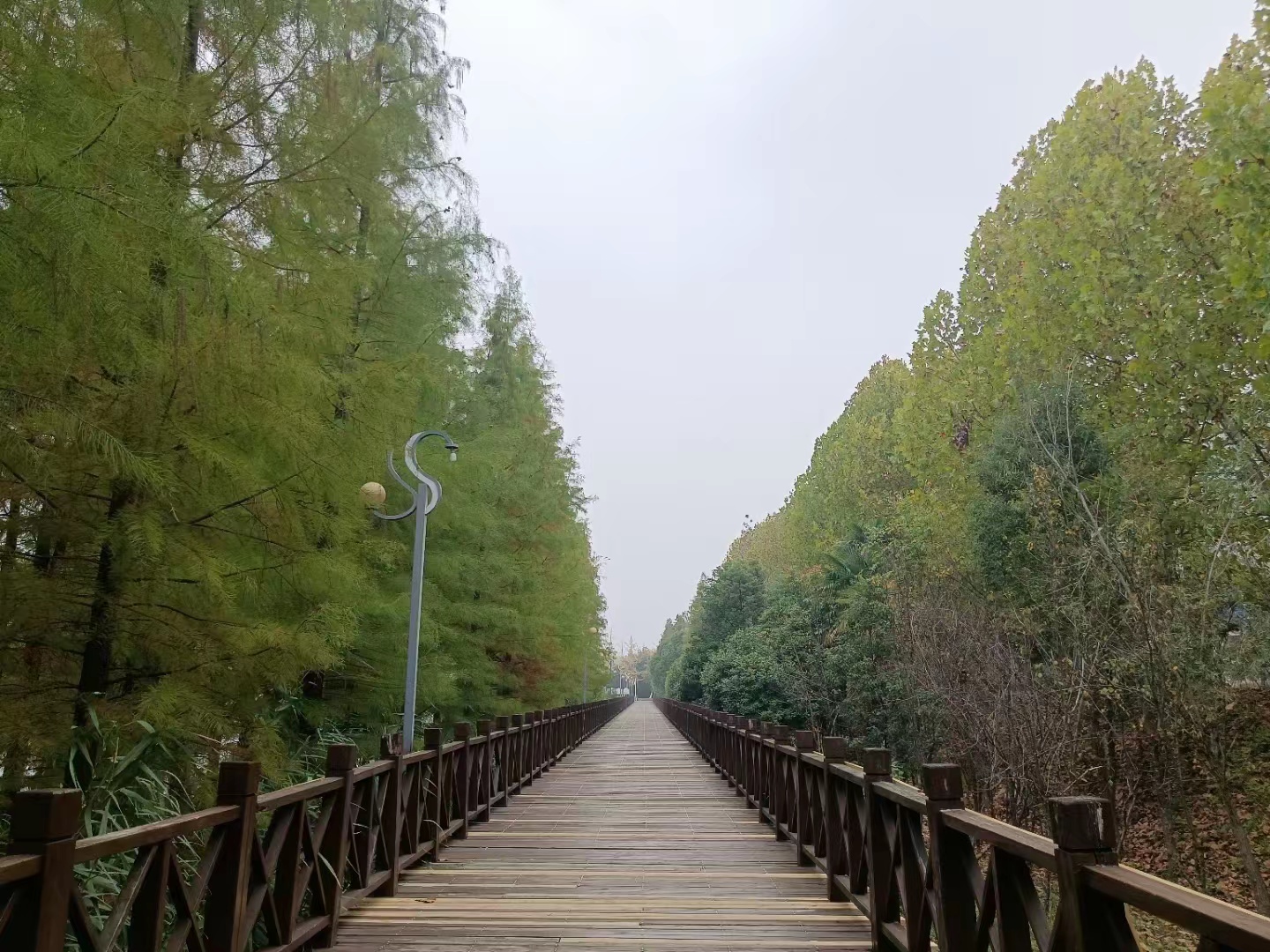 f0282d4d6b12b07bf9b584cbe1086e7